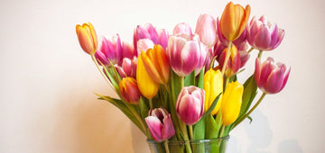 Die schönsten Geschenke für Muttertag: Inspiration und Tipps!